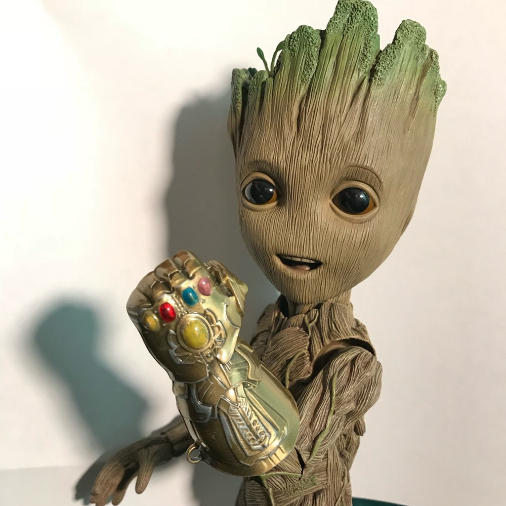 Meet your Posher, Vampire Dragon